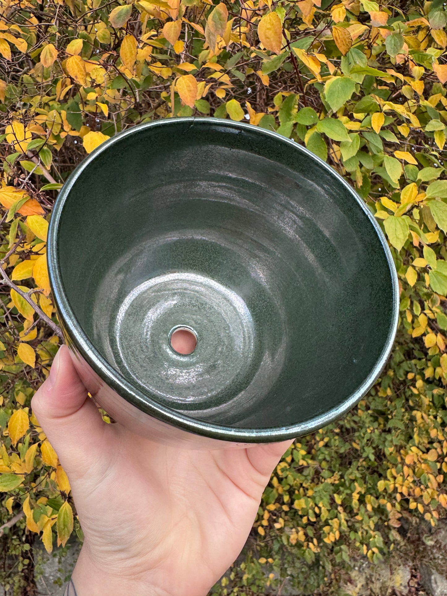 *Seconds* Hocus Pocus Plant Pot