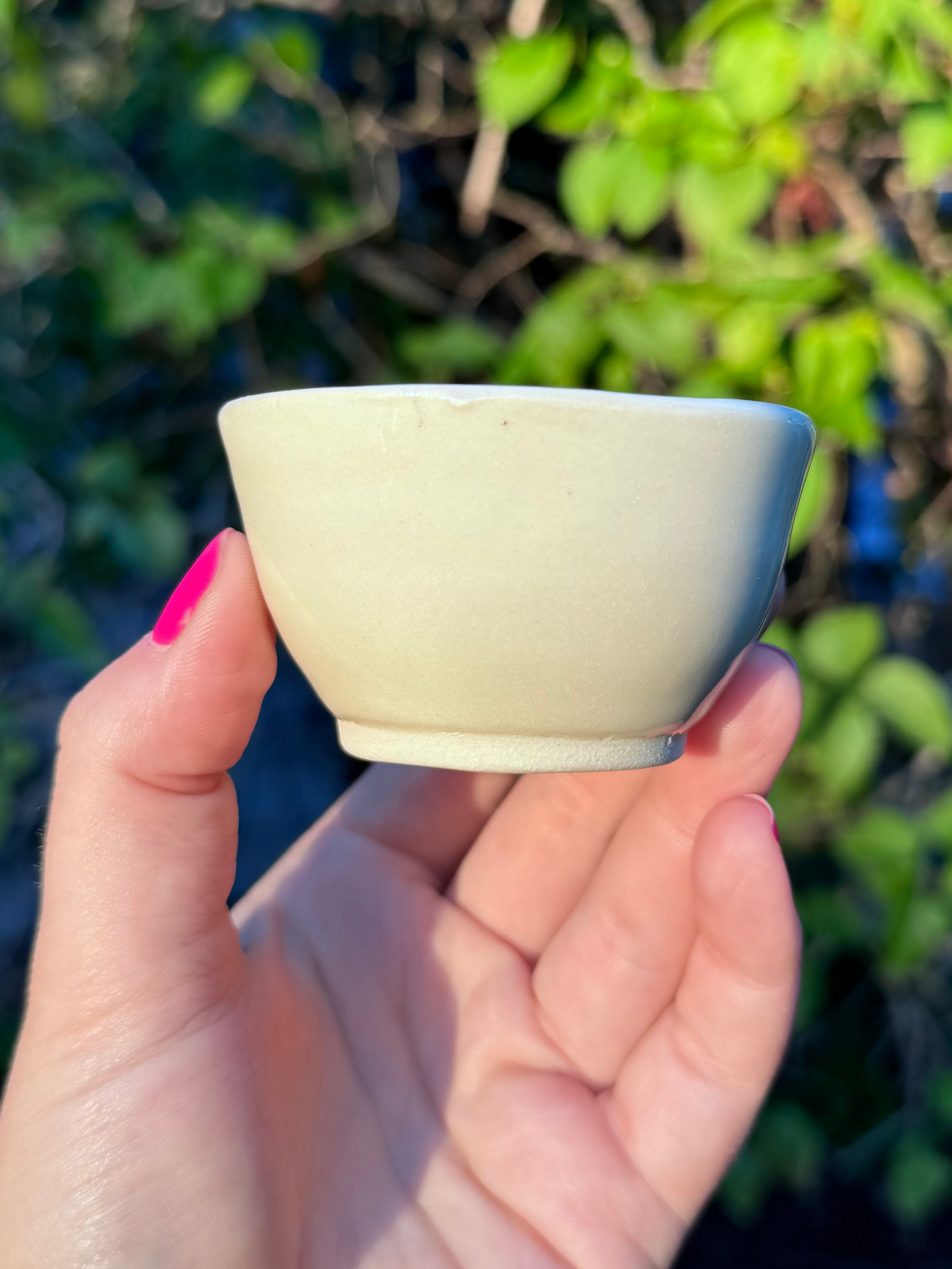 Small Totoro 2.5oz Bowl/Cup