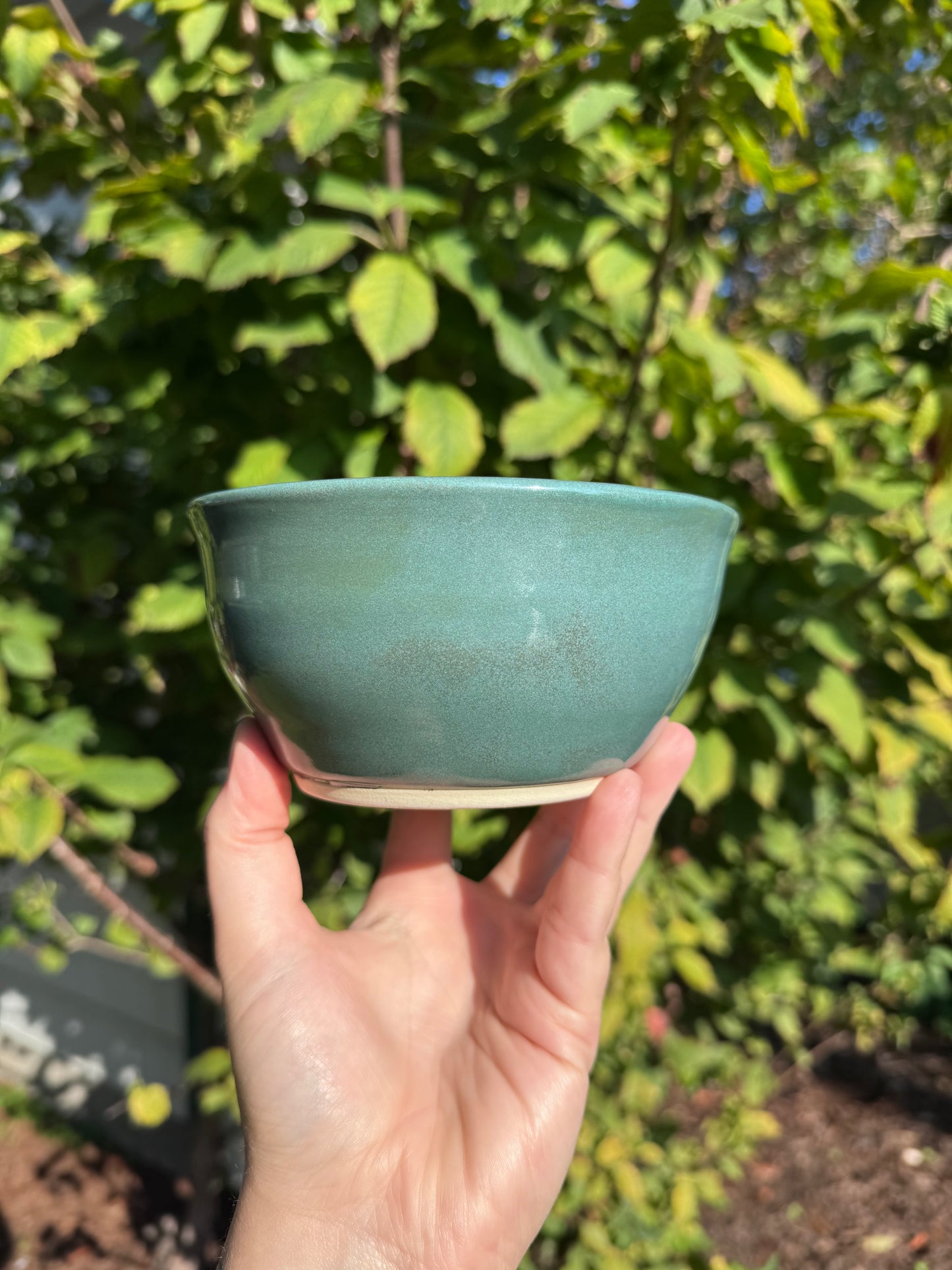 Ponyo Bowl