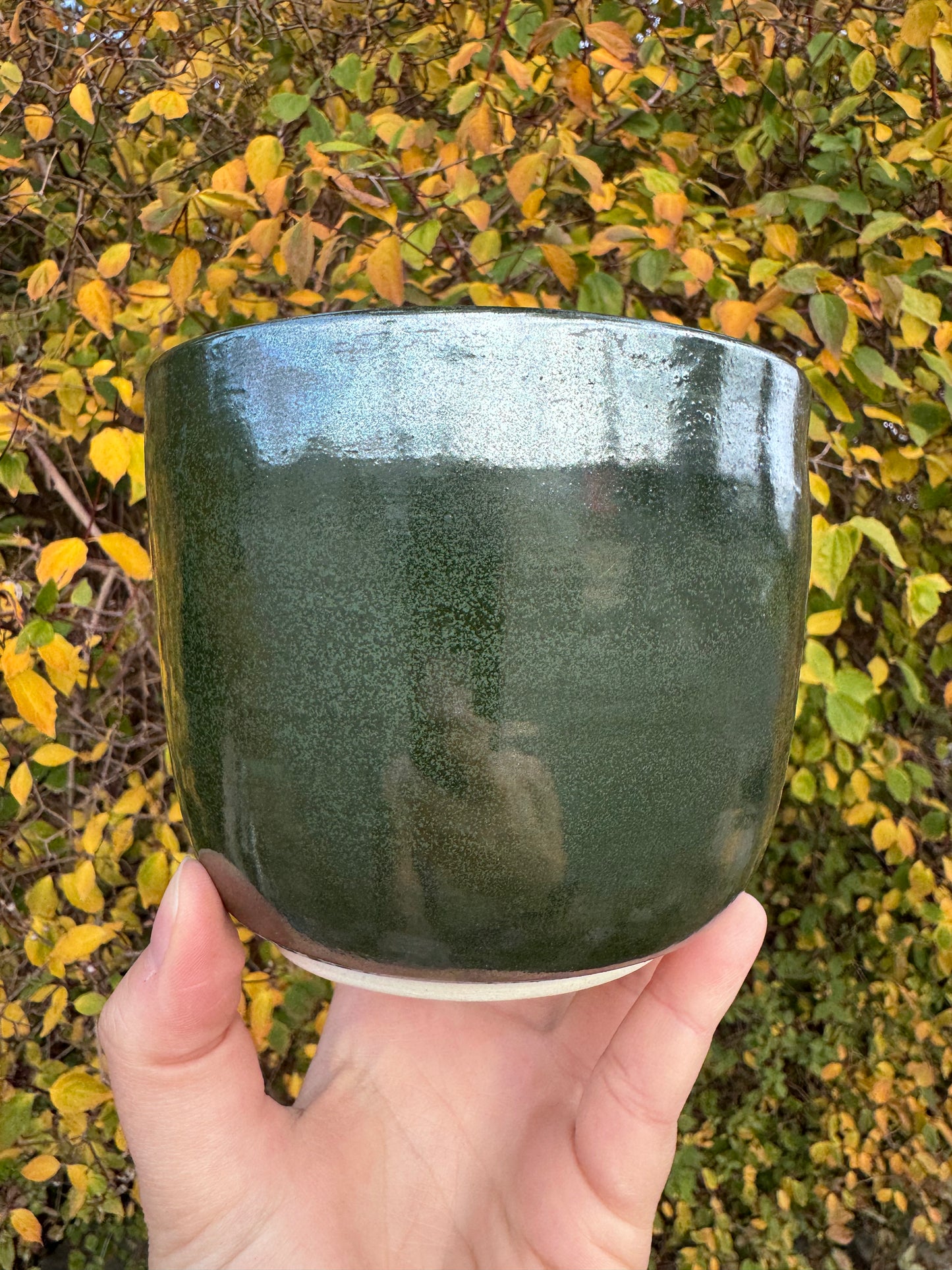 *Seconds* Hocus Pocus Plant Pot