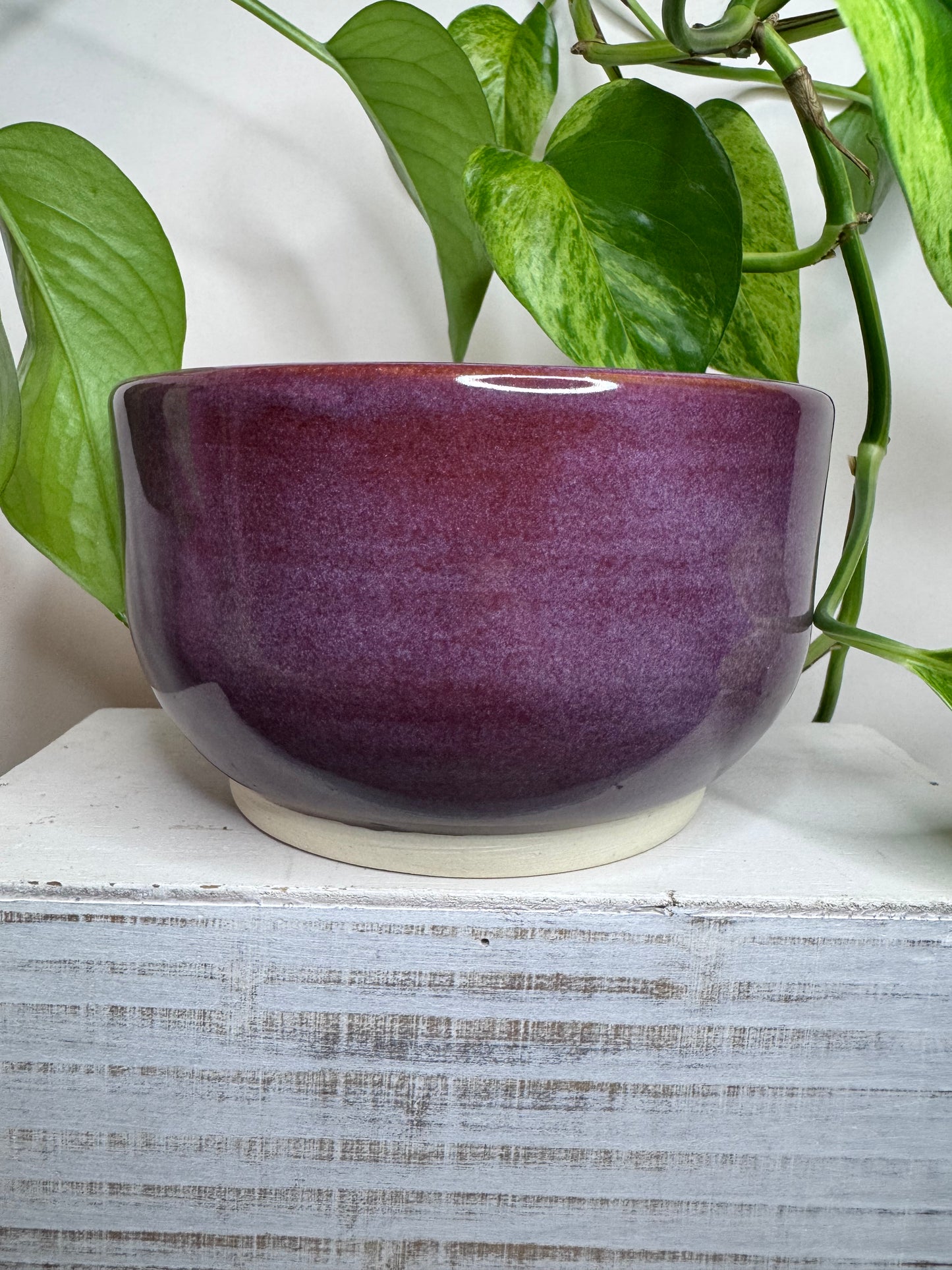 *Seconds* Mystery Gang 18oz Bowl