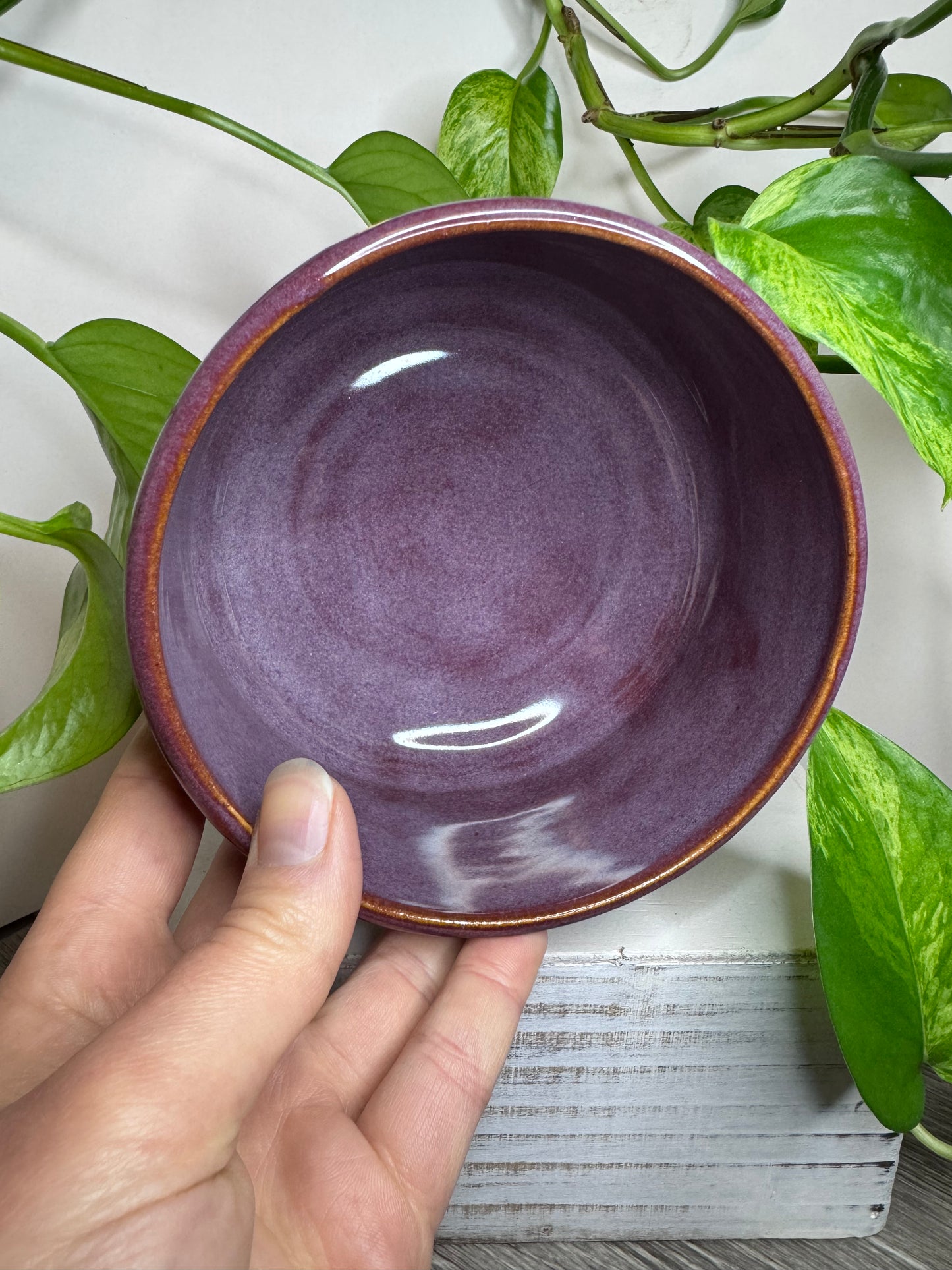*Seconds* Mystery Gang 18oz Bowl