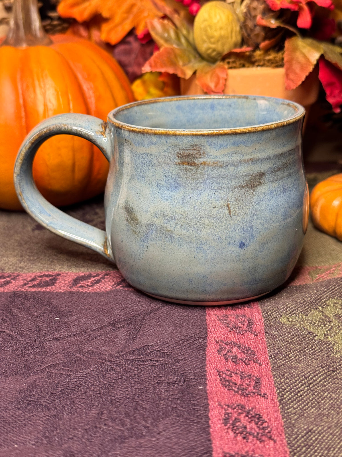 Raccoon in Overalls 9oz Mug