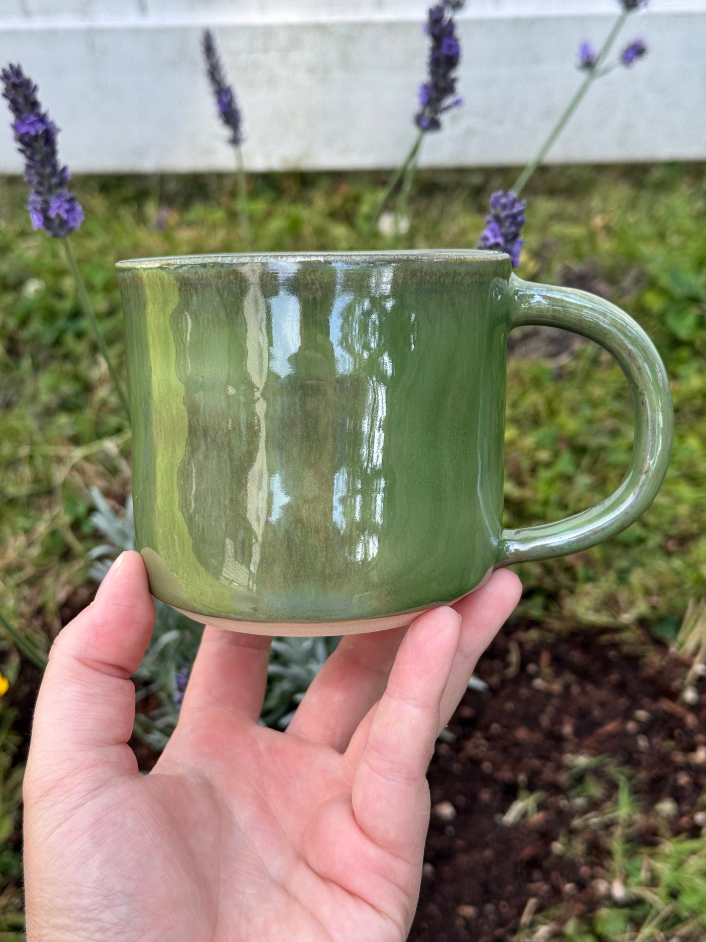 Frog and Toad 16oz Mug