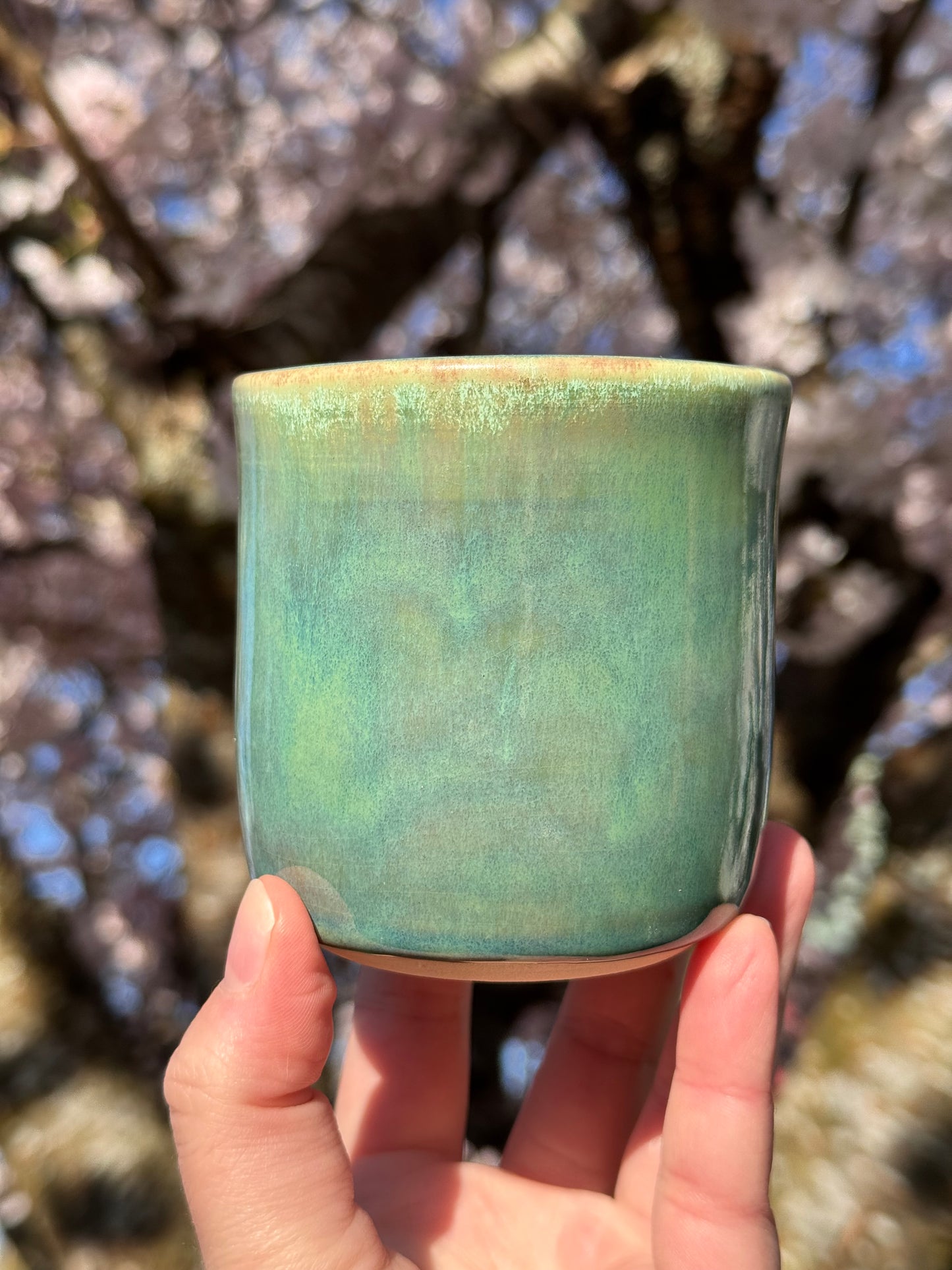 Sailor Moon 9oz Cup
