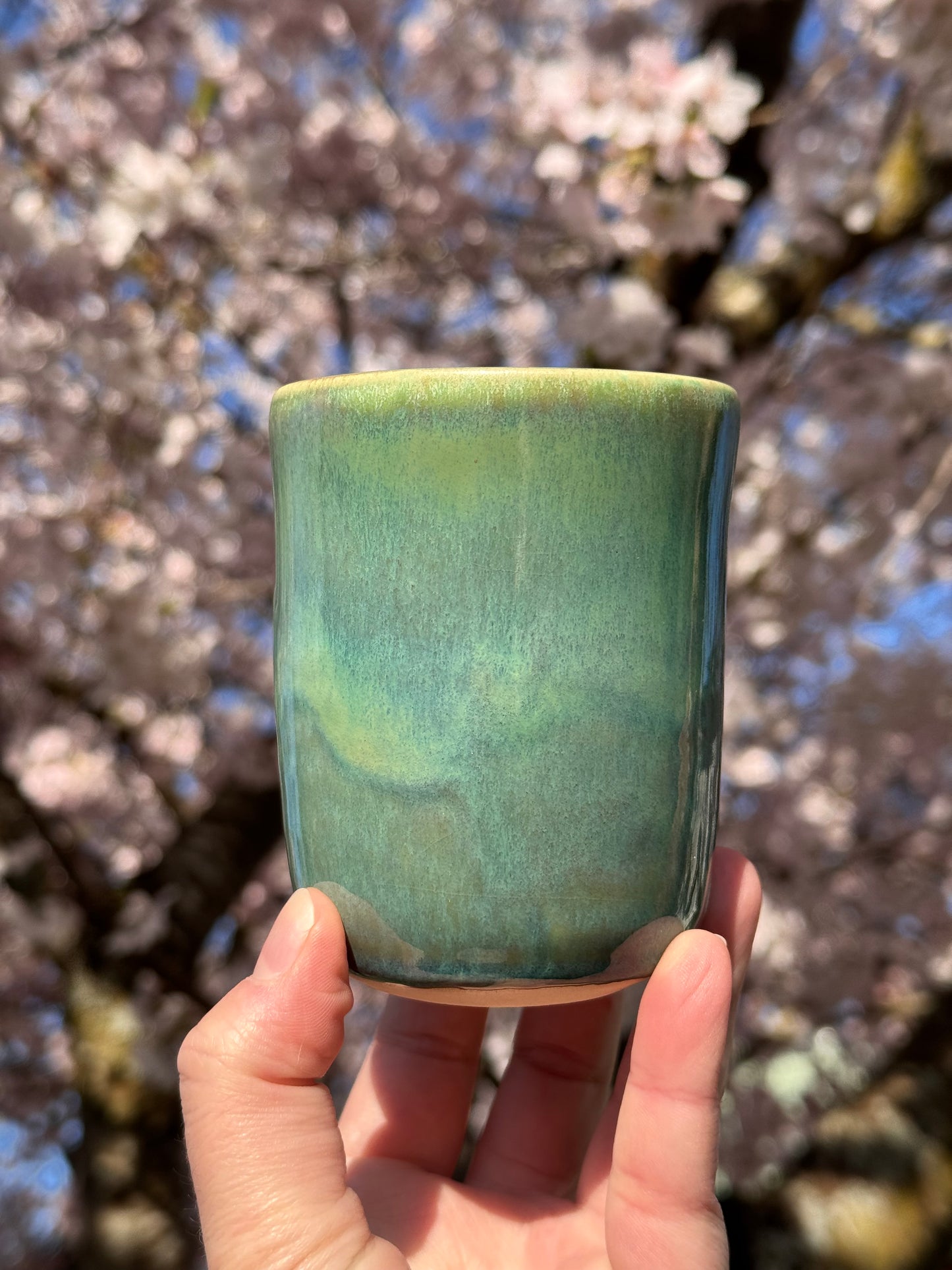 Dragon Tales 8oz Cup