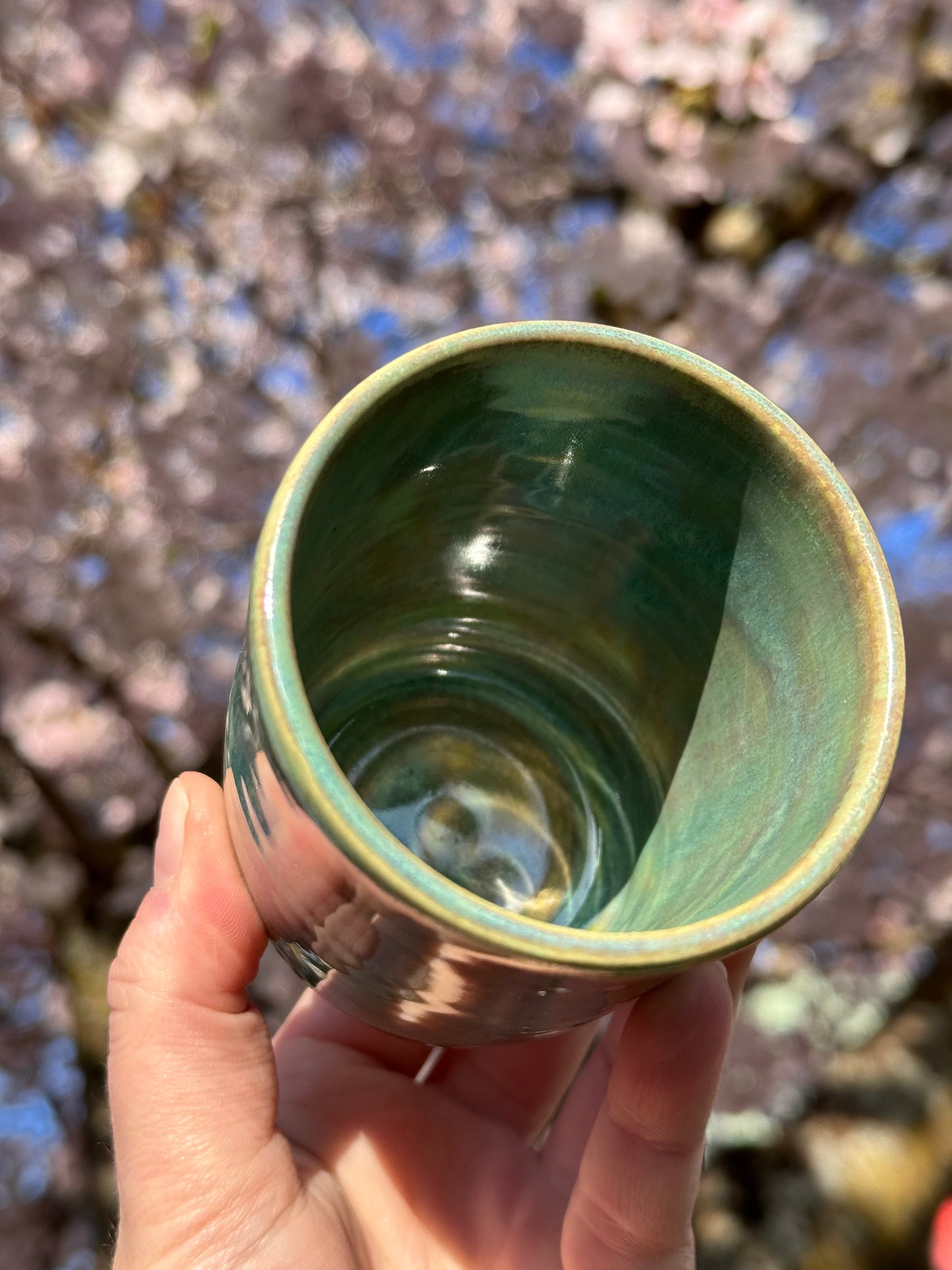Dragon Tales 8oz Cup